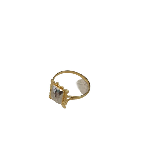 916 Gold Two-Tone Biscot V3 Ring | Elegant 22K Gold Design